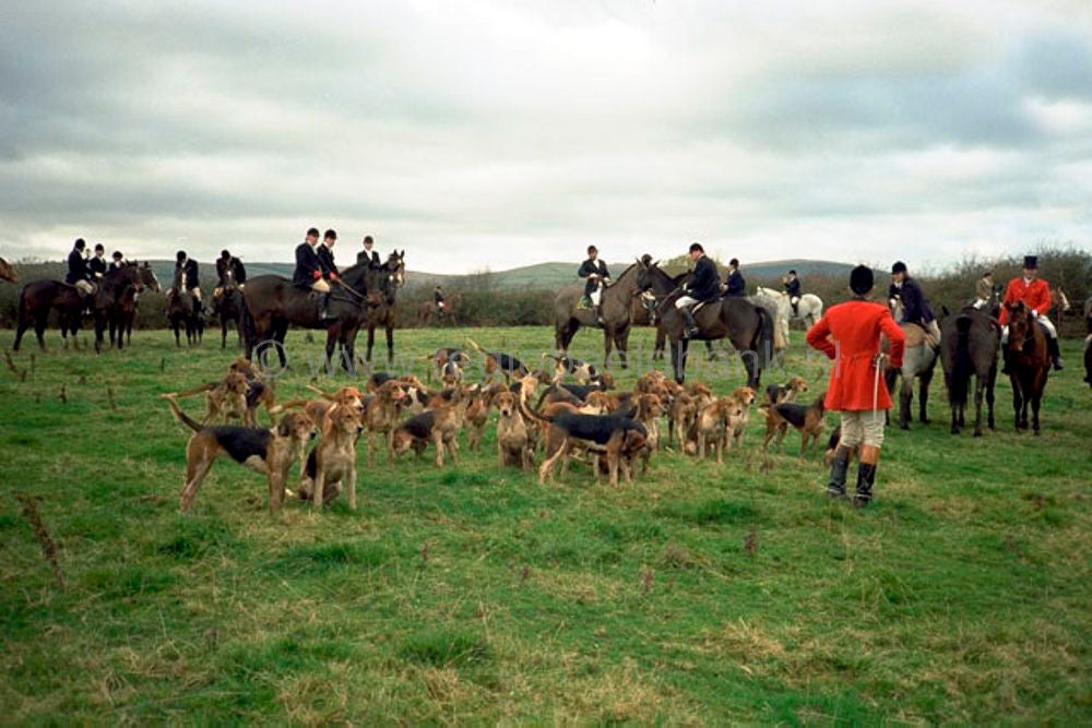ierland_058.jpg