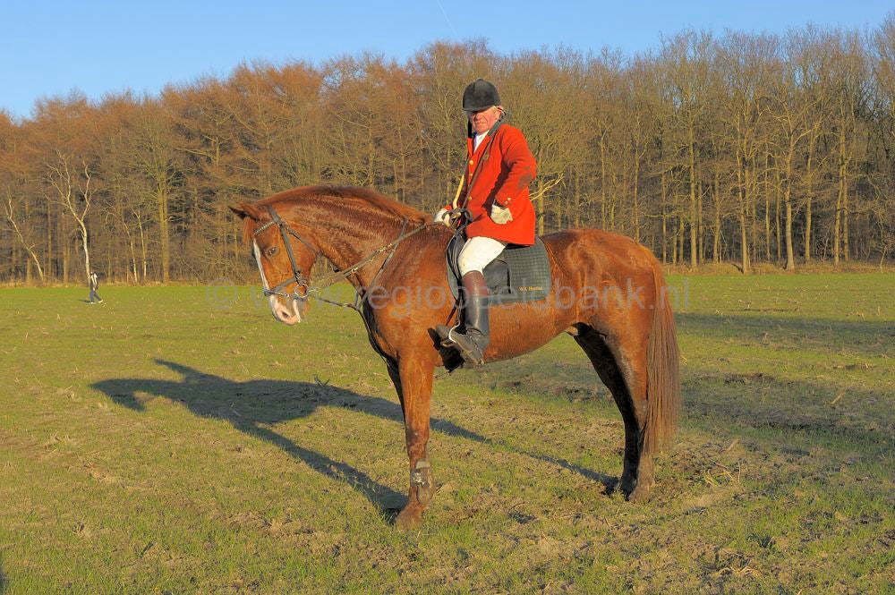 Hunting The Fox