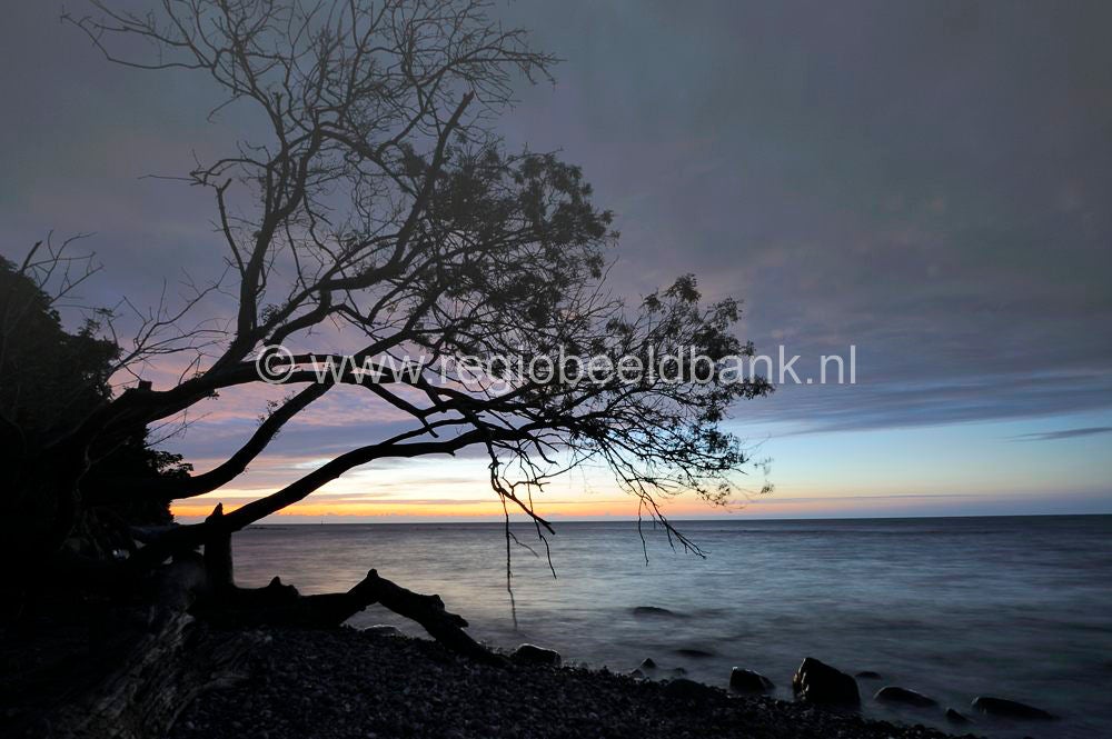 jasmund_coast_line_029.jpg