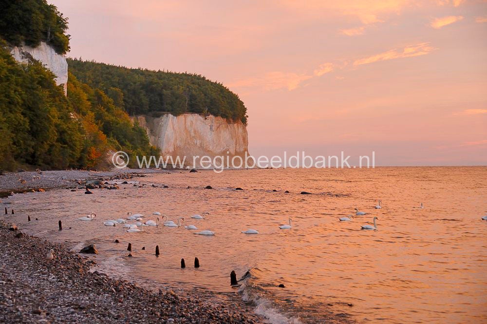 jasmund_coast_line_041.jpg