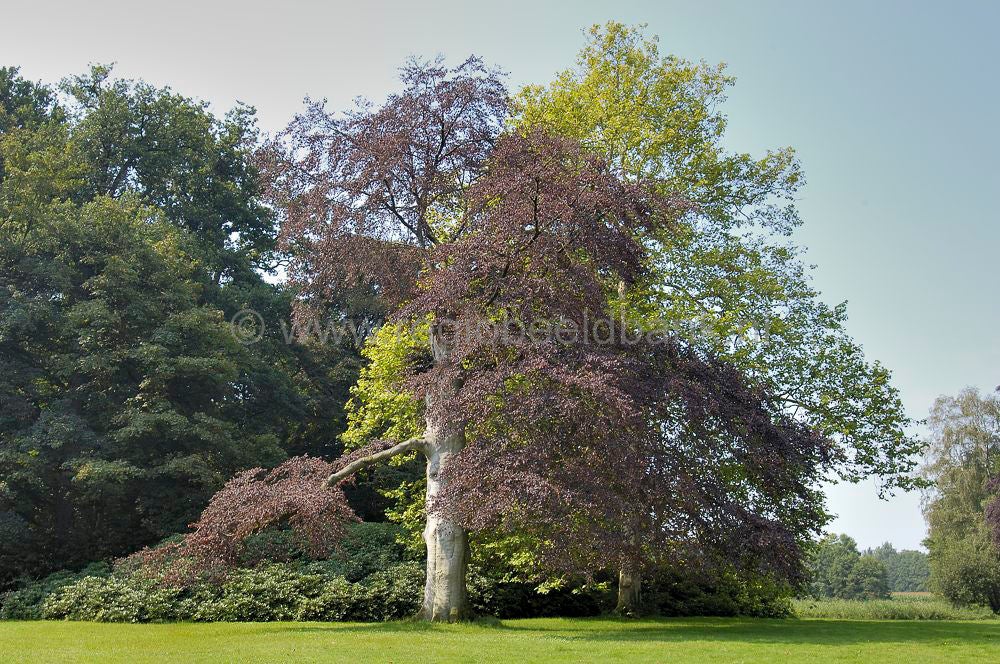 kasteel_003.jpg