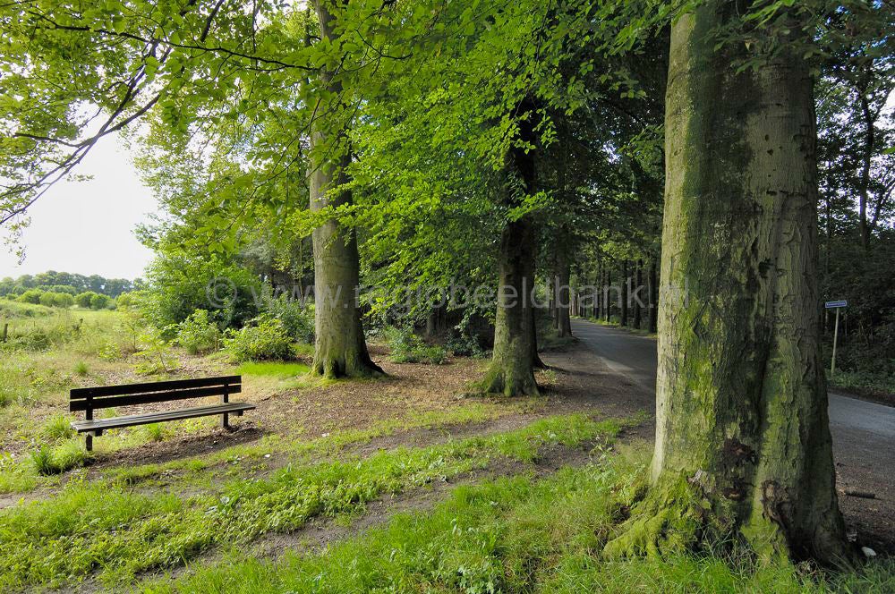 kerstavondpad_010.jpg