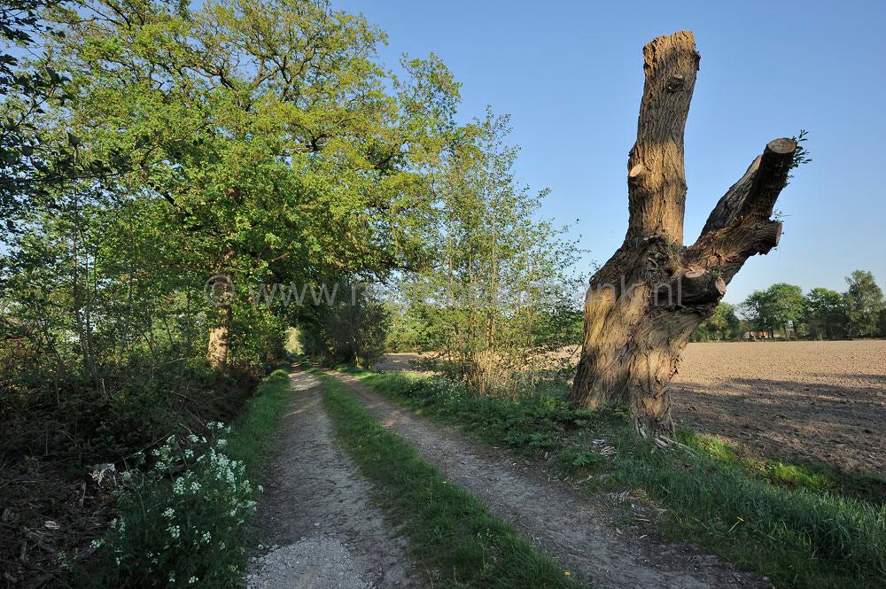 kerstavondpad_020.jpg