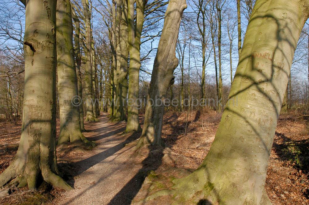 kerstavondpad_030.jpg