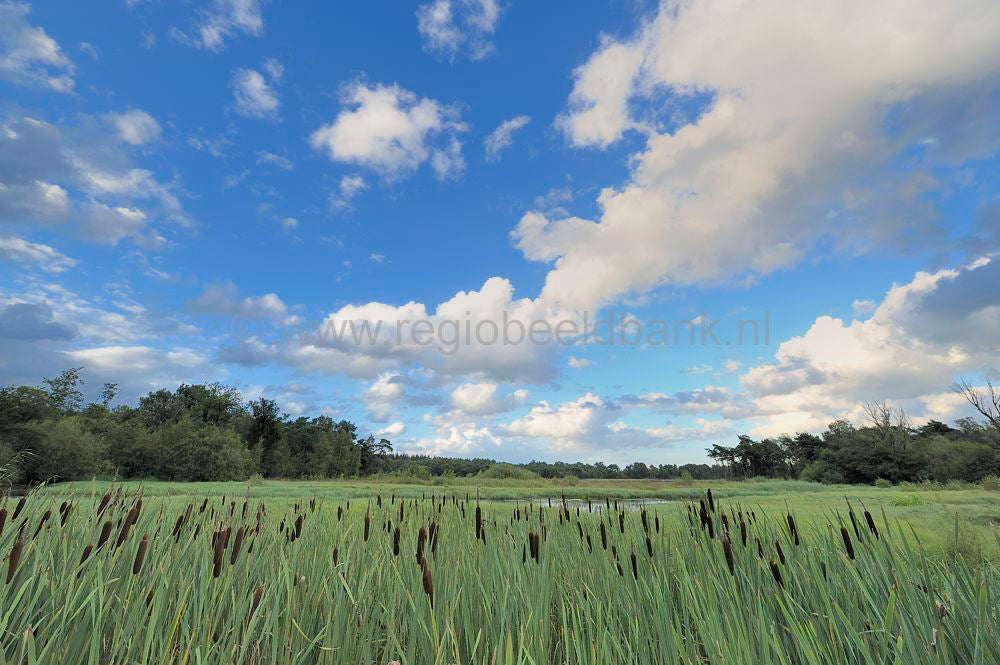 klein_bylaer_wolken_002.jpg