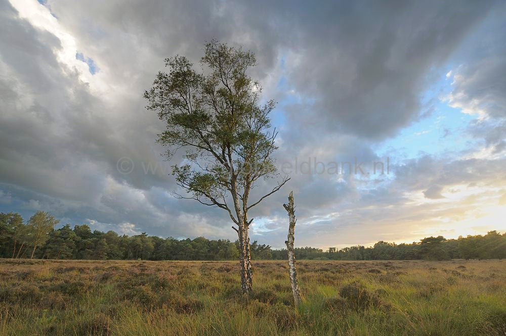 klein_bylaer_wolken_010.jpg