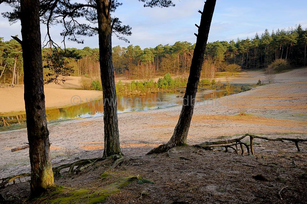 klein_zwitserland_011.jpg
