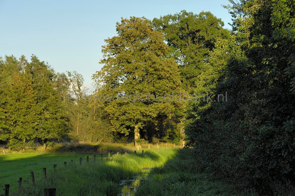 kleine_barneveldjebeek_005.jpg