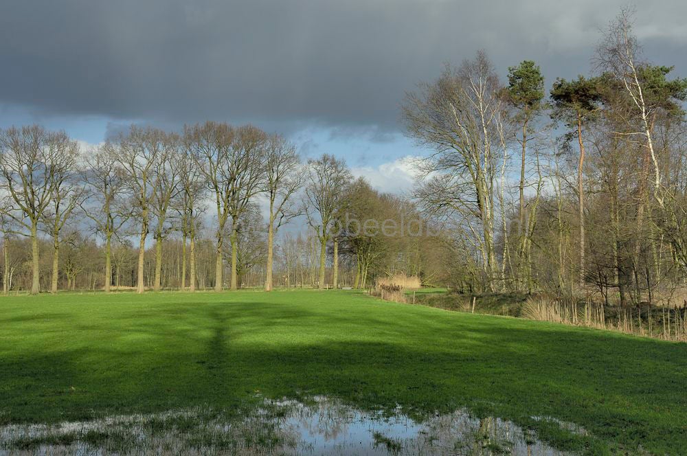 kleine_barneveldjebeek_014.jpg
