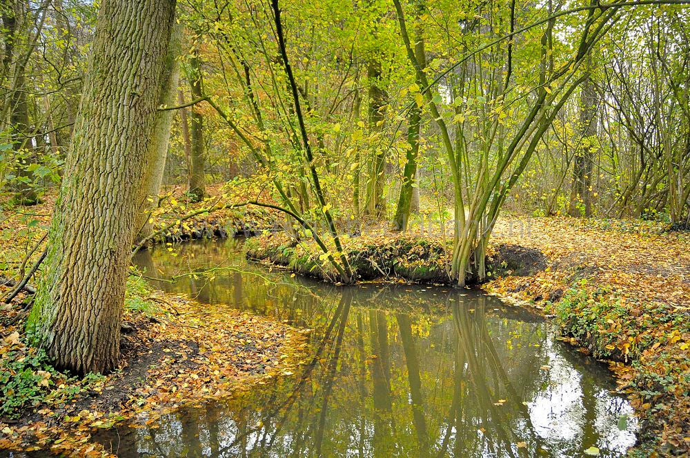 kleine_barneveldjebeek_1507.jpg