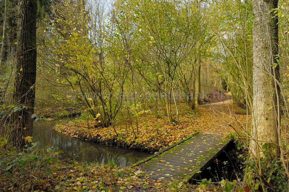 kleine_barneveldjebeek_1512.jpg