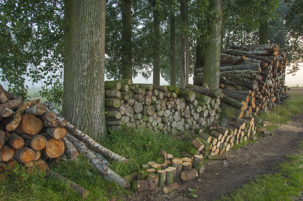 klompenmakerspad_022.jpg