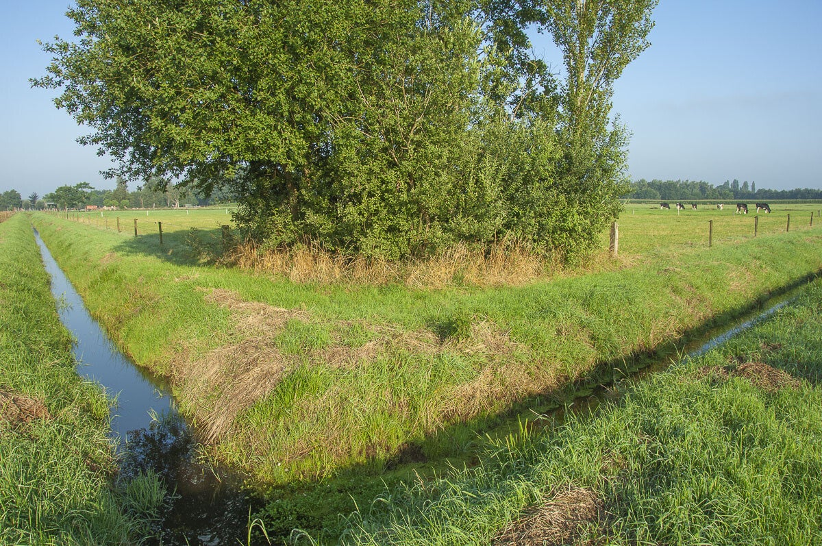 klompenmakerspad_063.jpg