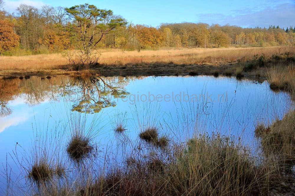 kootwijkerveen_004.jpg