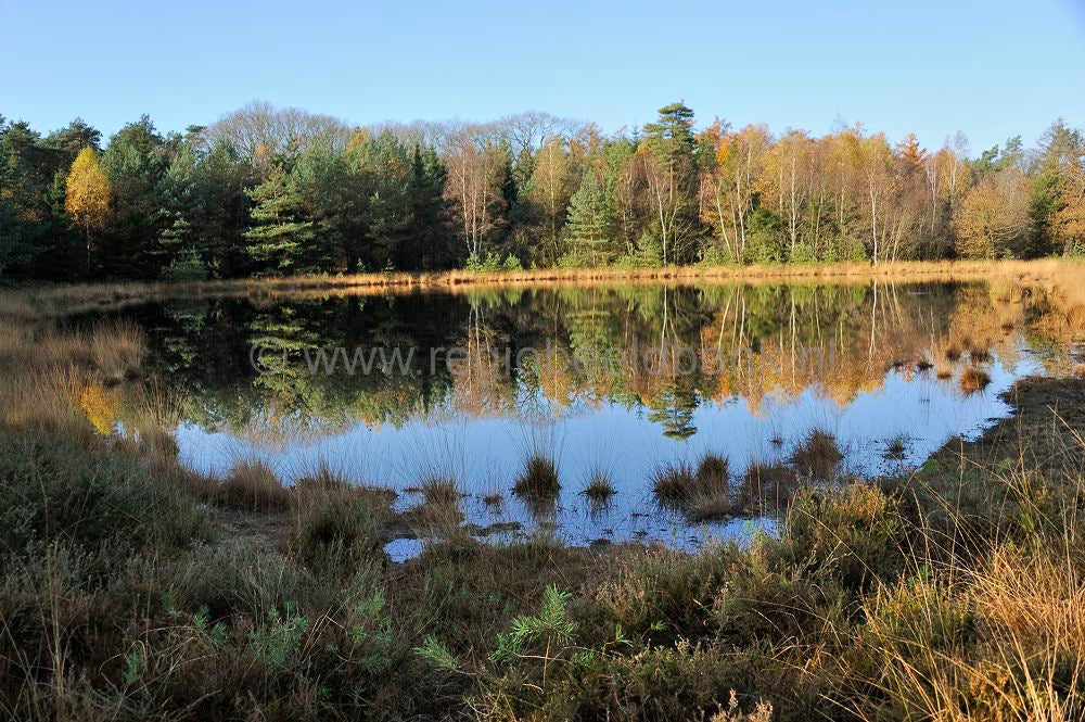 kootwijkerveen_006.jpg