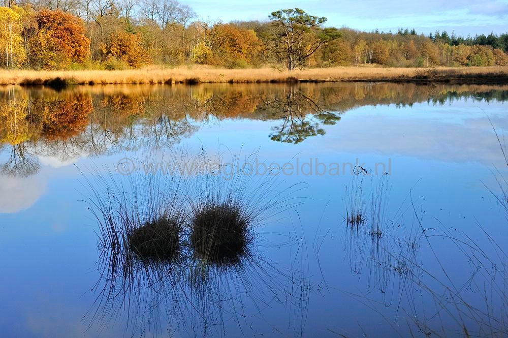 kootwijkerveen_008.jpg