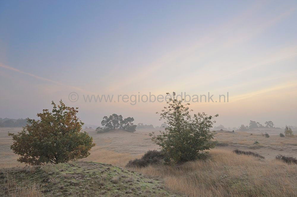 kootwijkerzand_003.jpg