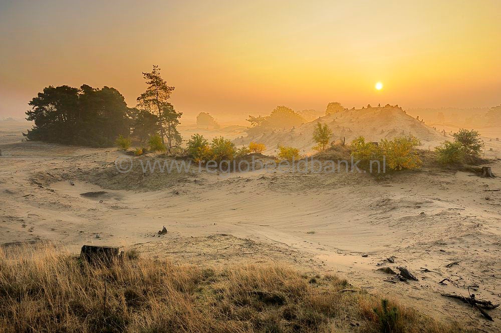 kootwijkerzand_011.jpg