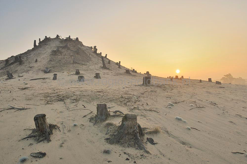 kootwijkerzand_013.jpg
