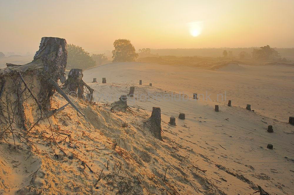 kootwijkerzand_019.jpg