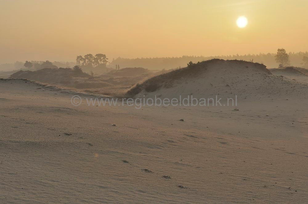 kootwijkerzand_021.jpg
