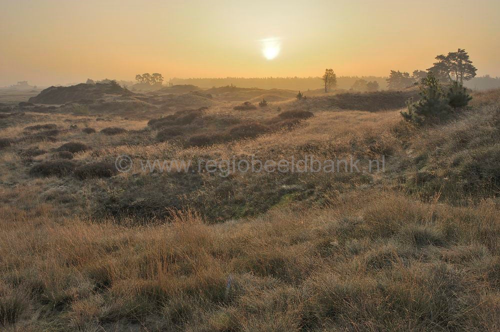 kootwijkerzand_023.jpg