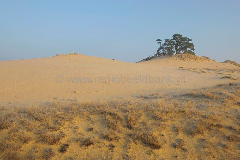 kootwijkerzand_029.jpg