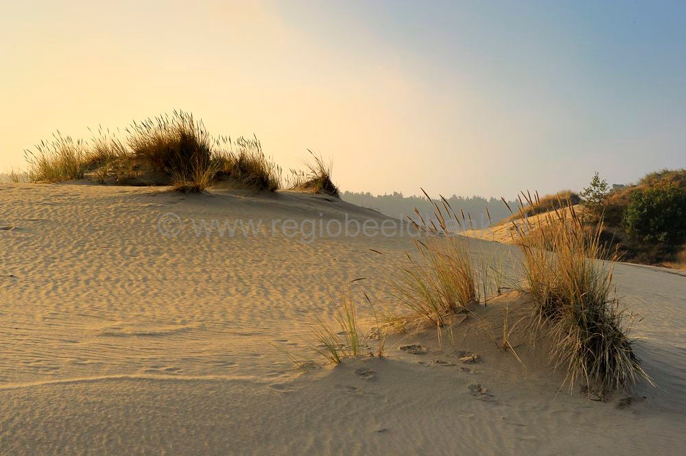 kootwijkerzand_031.jpg