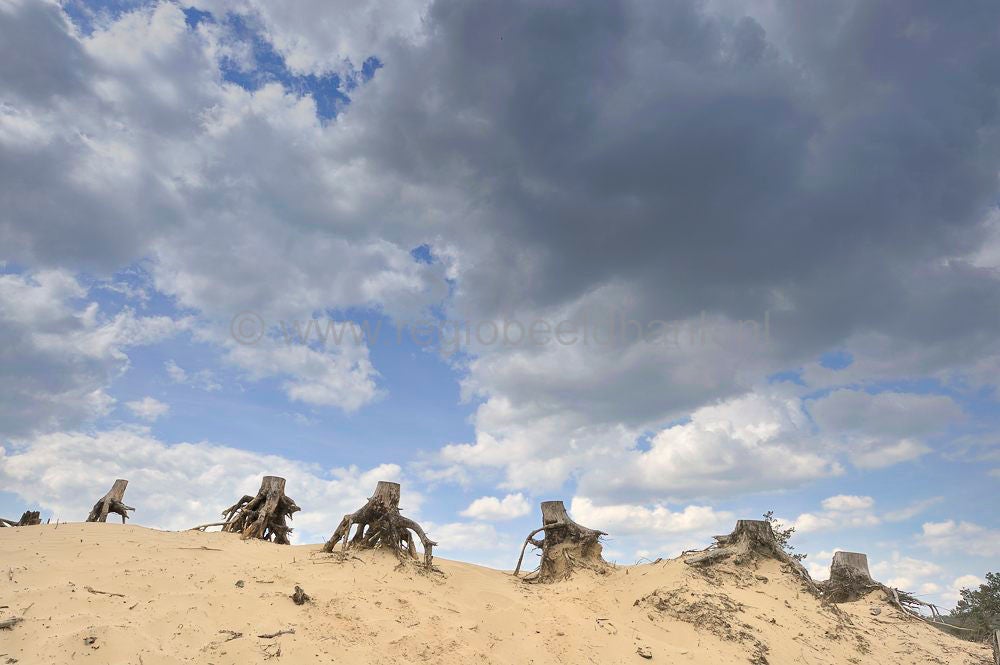 kootwijkerzand__106.jpg