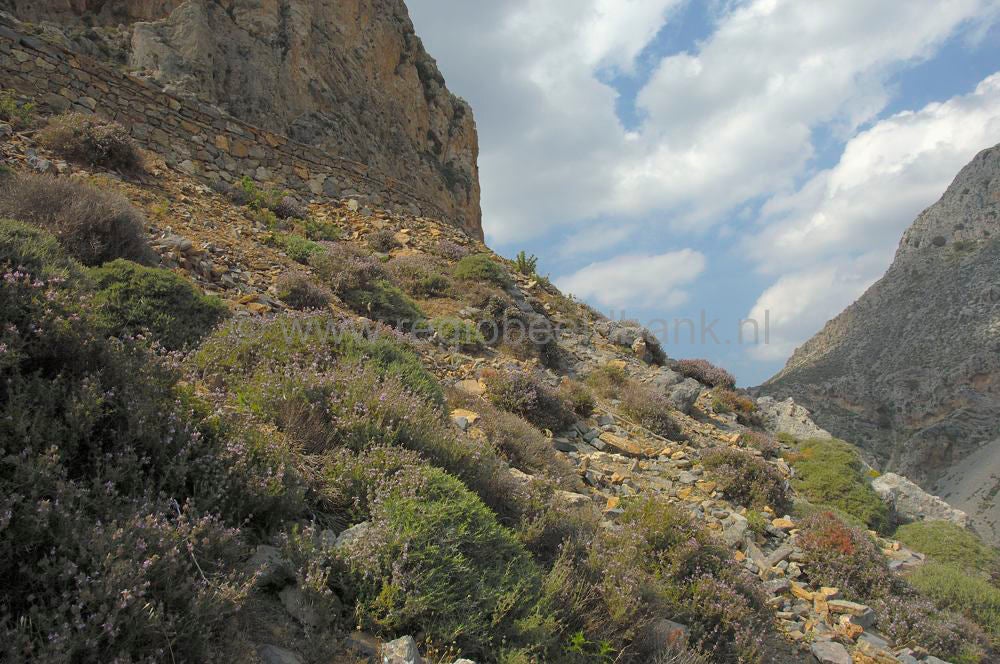 kourtaliotikokloof_kreta_1017.jpg