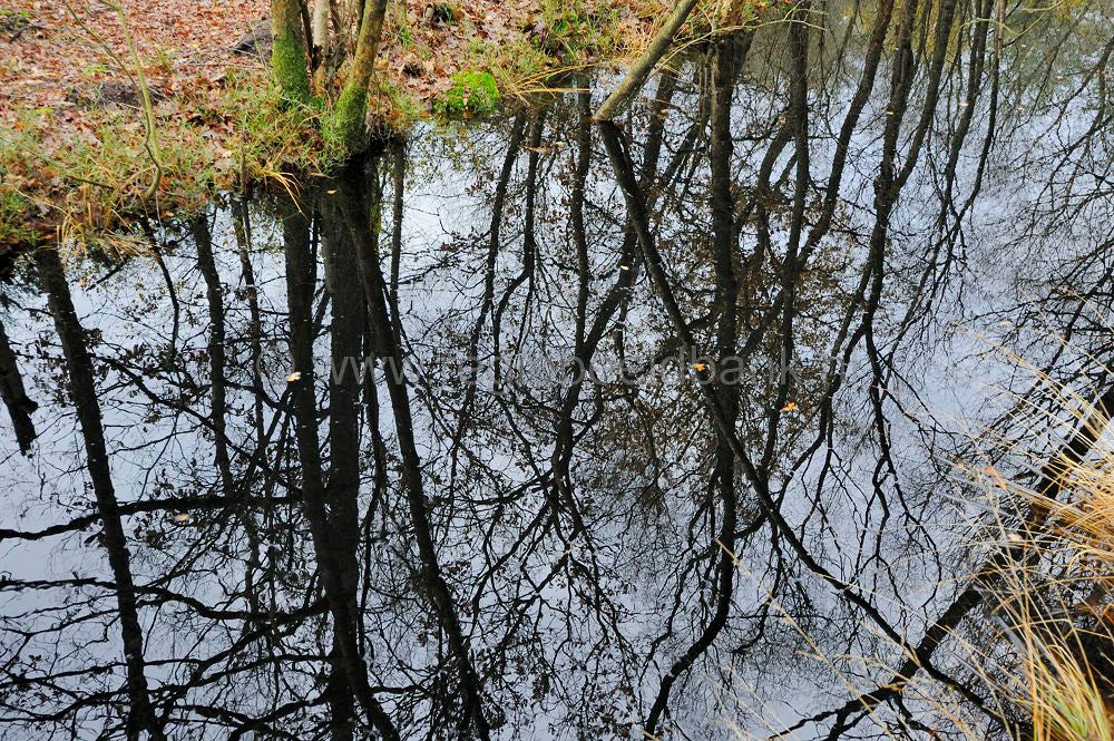 kreelse_plas_001.jpg