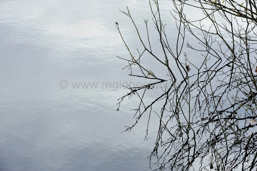 kreelse_plas_009.jpg