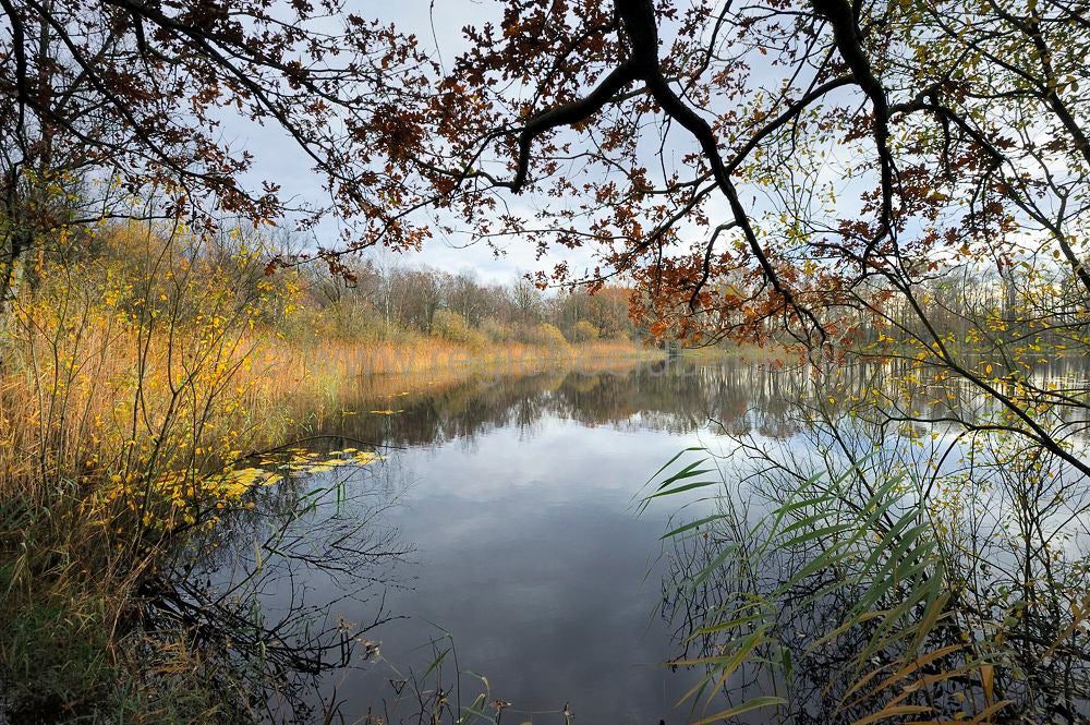 kreelse_plas_011.jpg