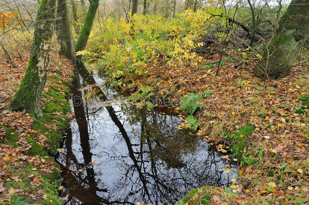 kreelse_plas_013.jpg