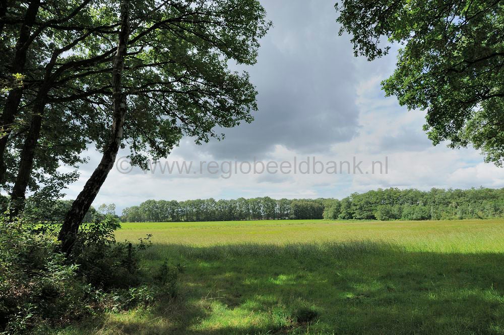 kreelse_plas_015.jpg