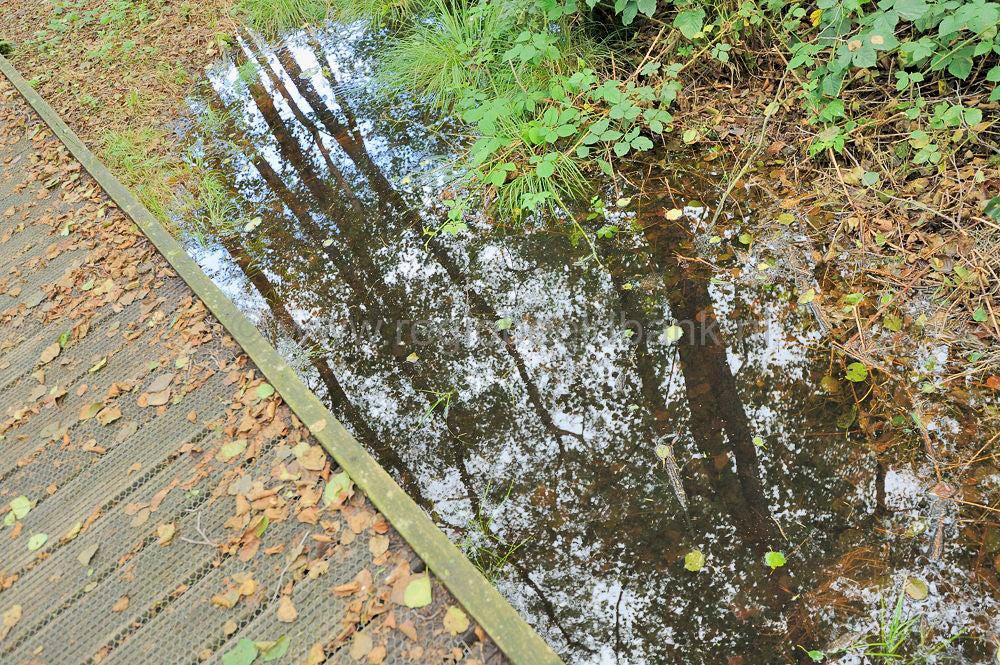 kreelse_plas_019.jpg