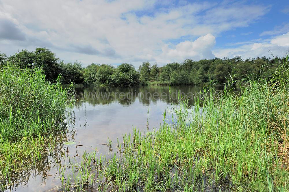 kreelse_plas_022.jpg
