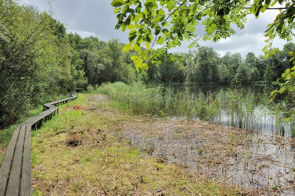 kreelse_plas_024.jpg