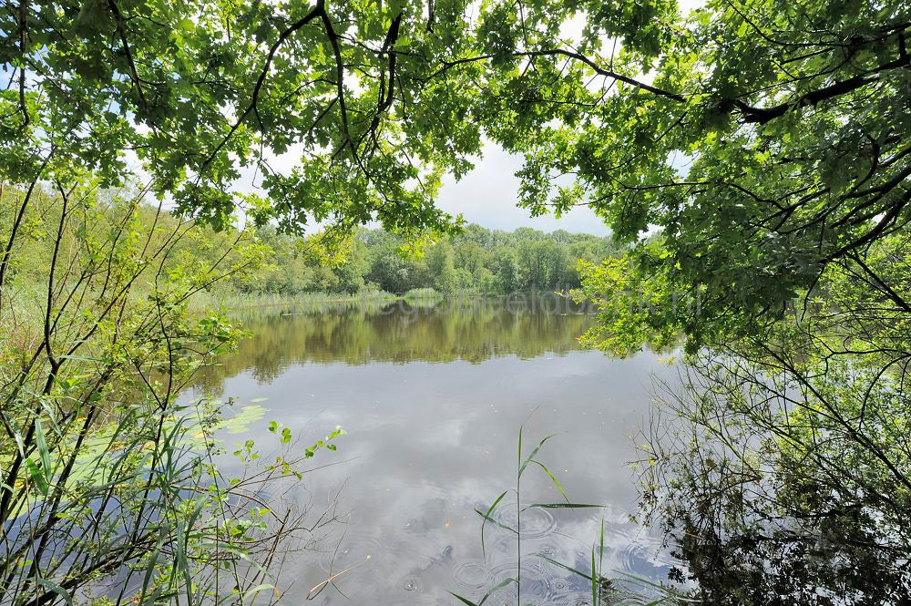 kreelse_plas_026.jpg