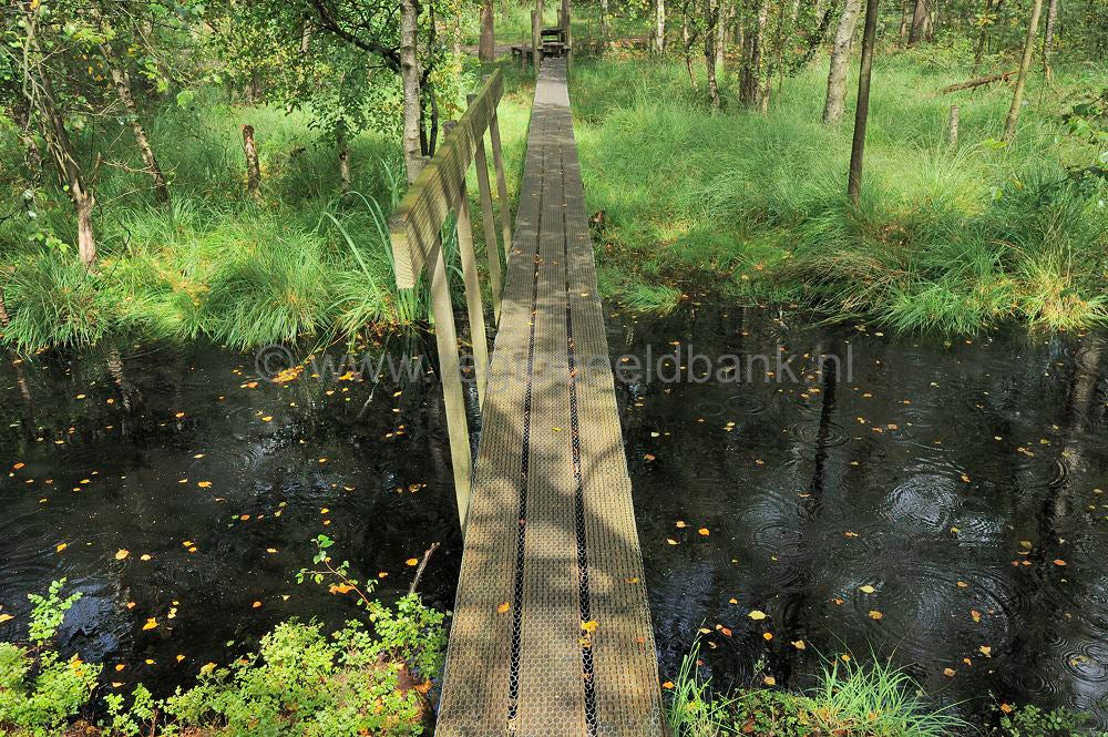 kreelse_plas_028.jpg