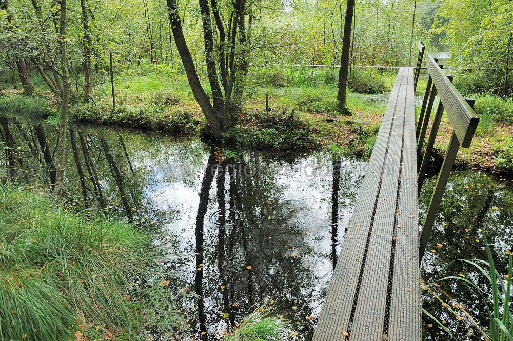 kreelse_plas_034.jpg