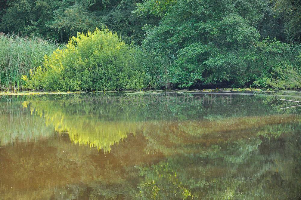 kreelse_plas__041.jpg