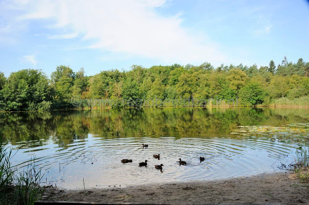 kreelse_plas__045.jpg