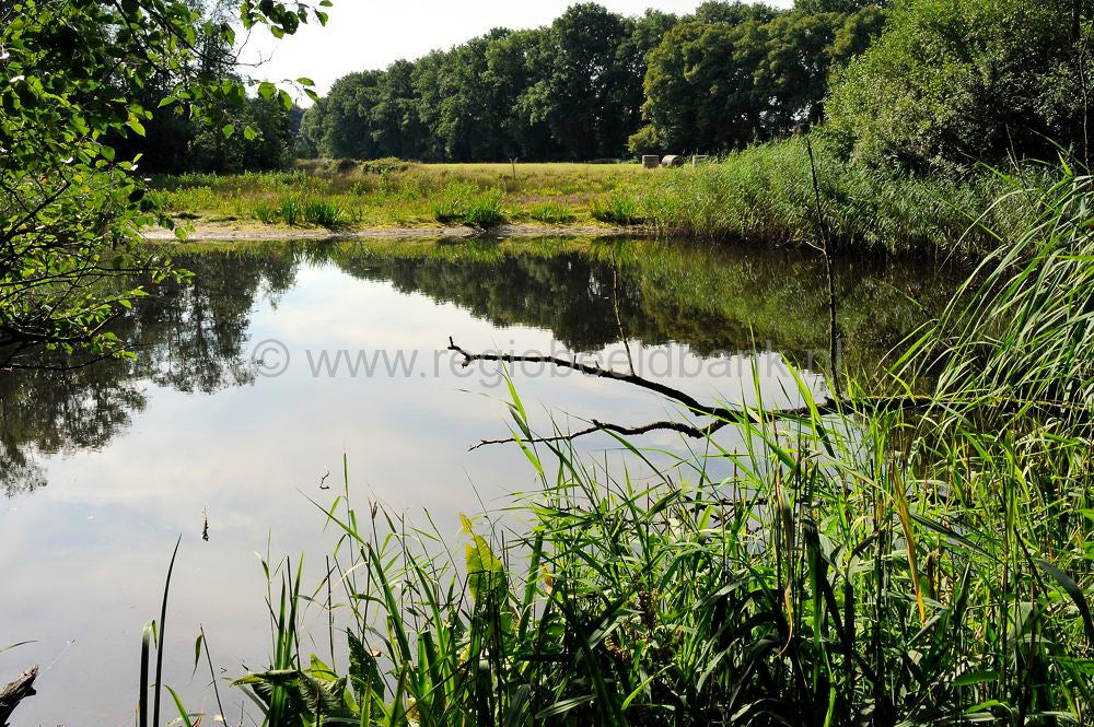 kreelse_plas__047.jpg