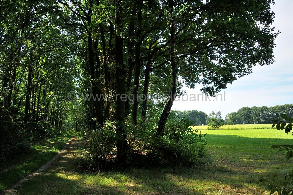 kreelse_plas__049.jpg