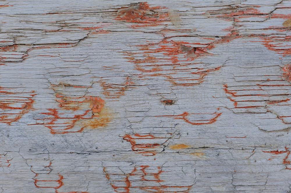 kreta_art_035.jpg