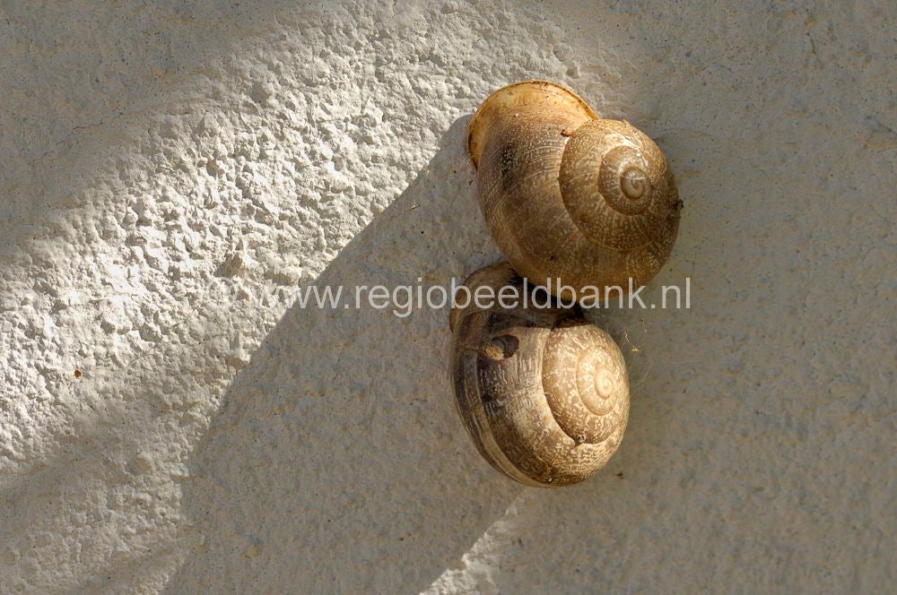 kreta_oost_049.jpg