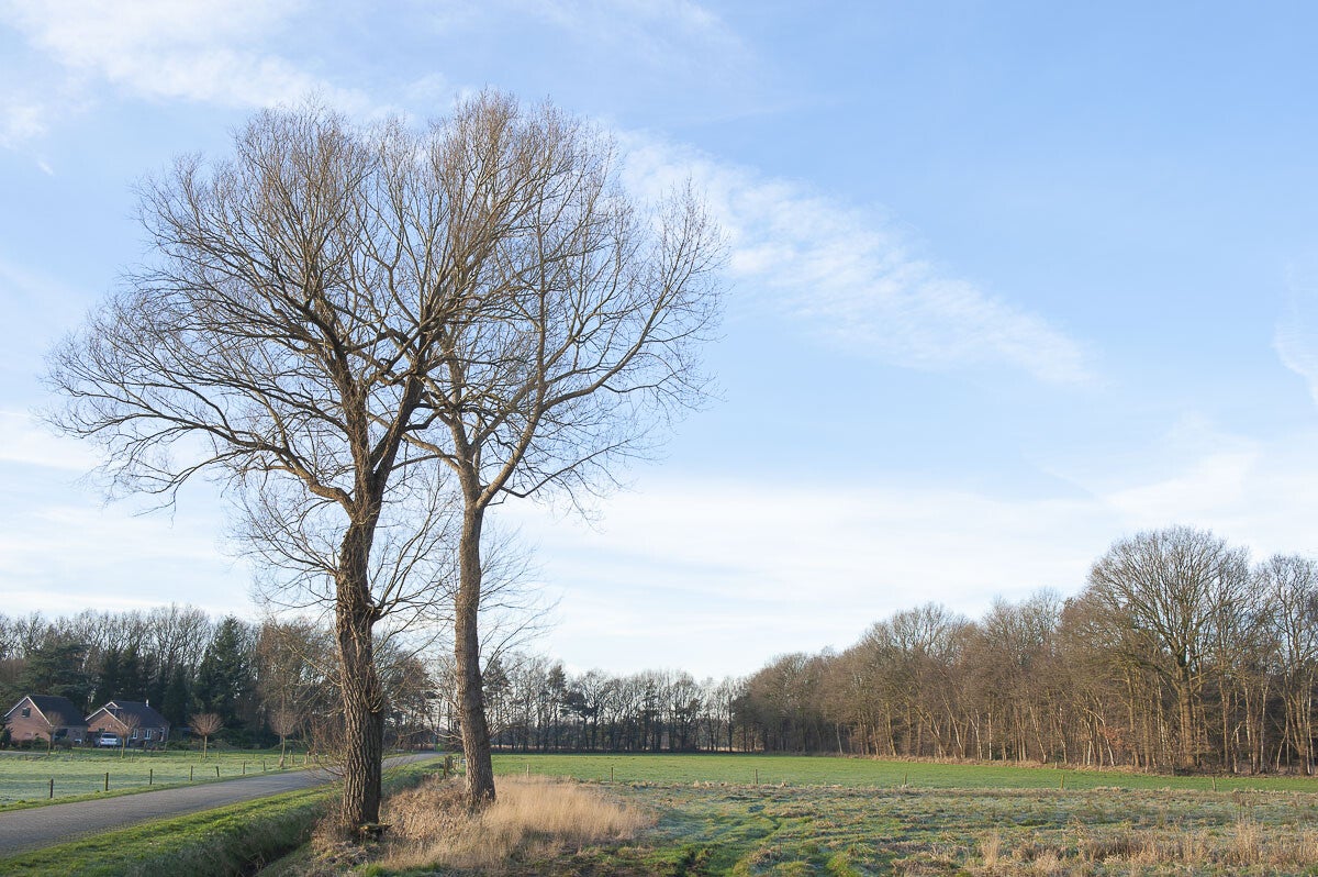 kruishaarderpad_056.jpg