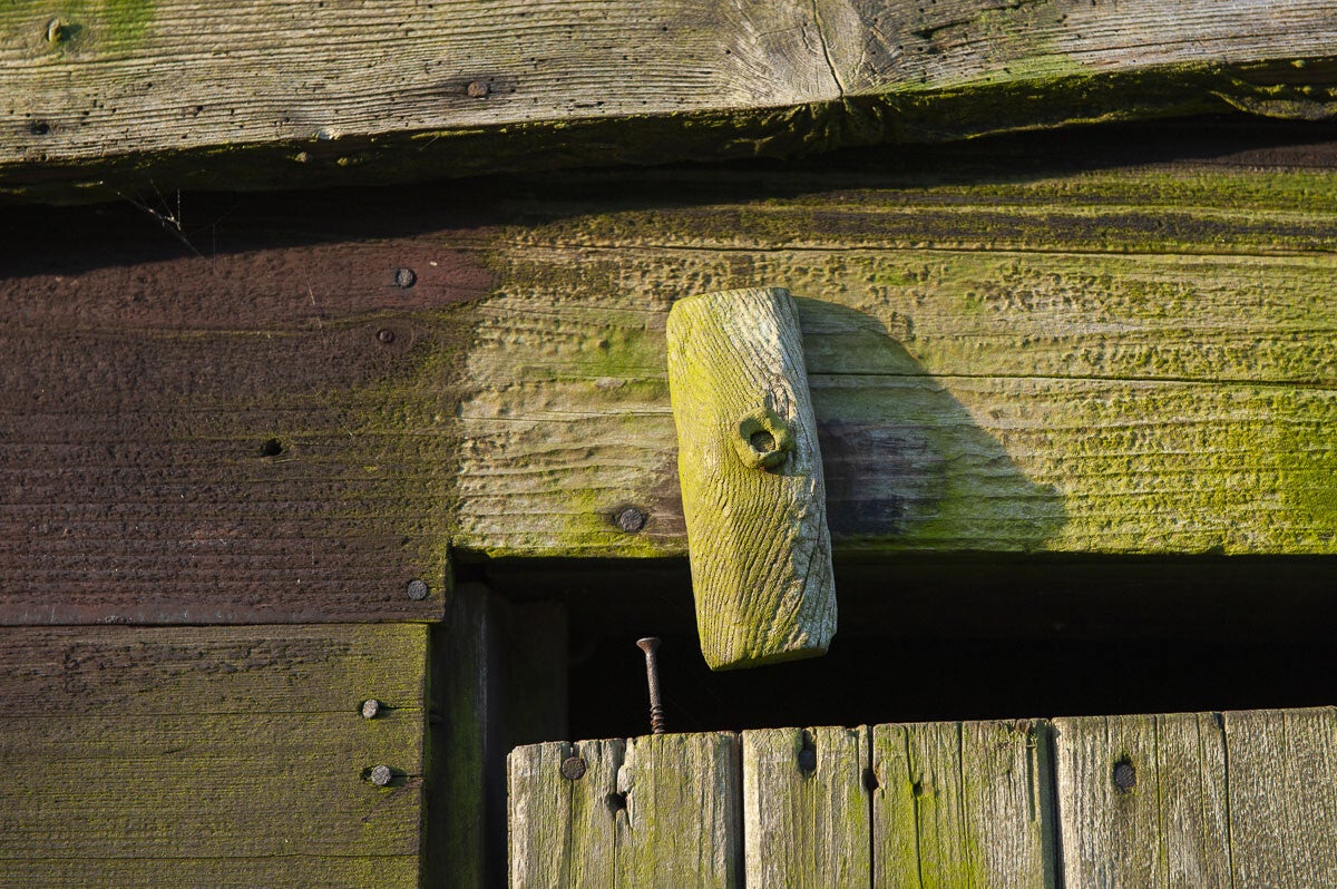 kruishaarderpad_061-1.jpg