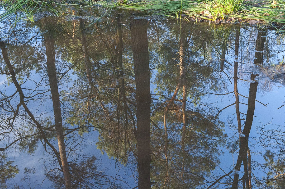 kruishaarderpad_066.jpg